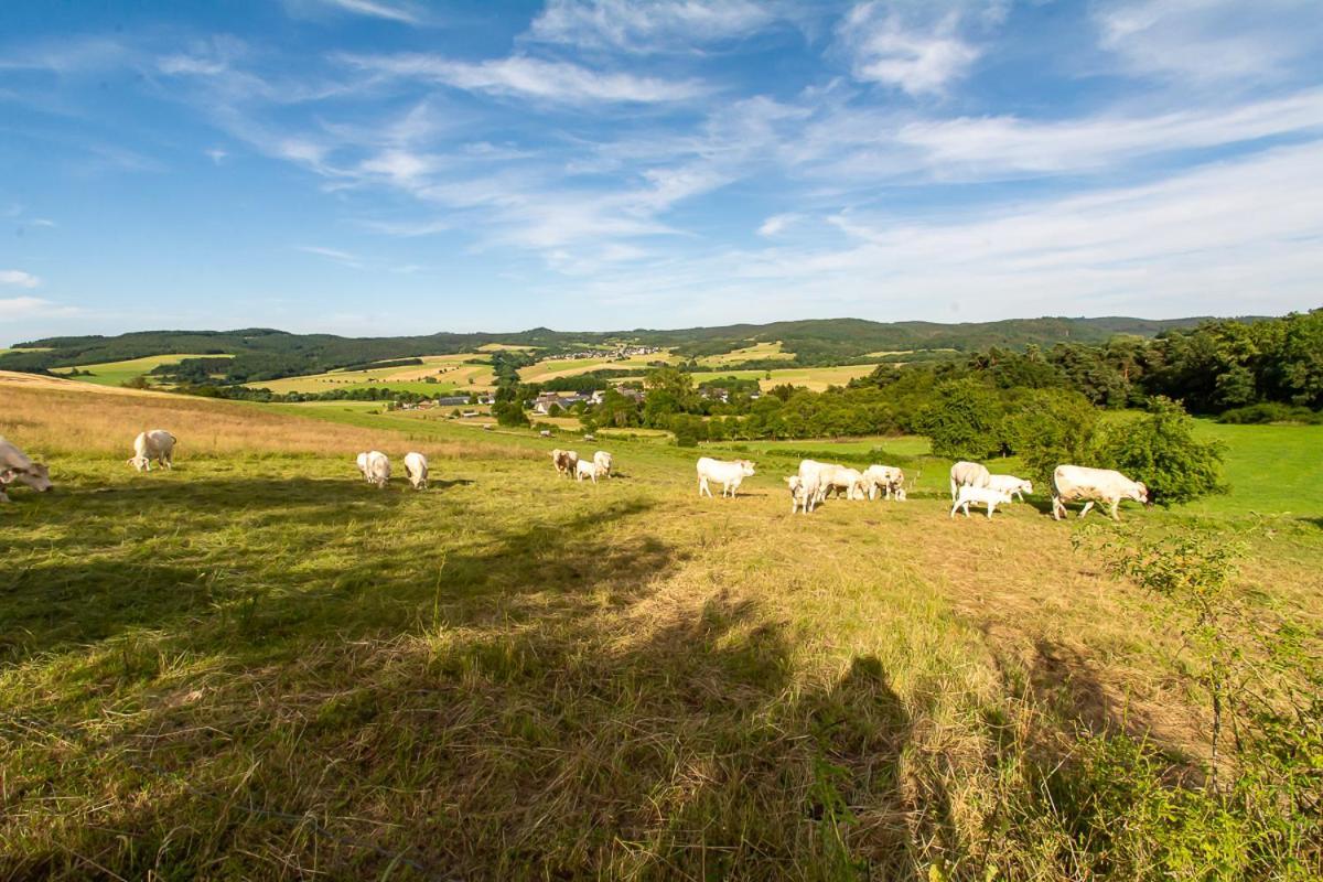Ferienwohnung Biohof Mindermann Kelberg Buitenkant foto