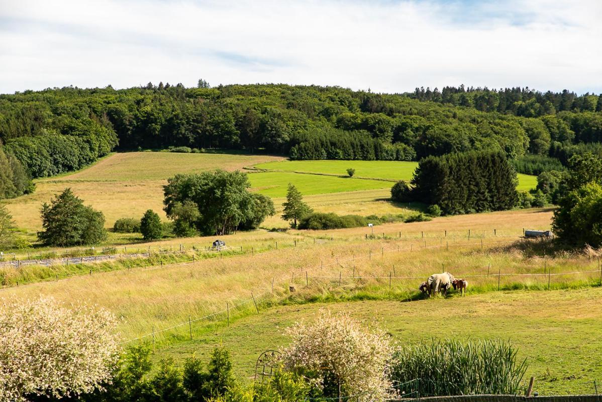 Ferienwohnung Biohof Mindermann Kelberg Buitenkant foto